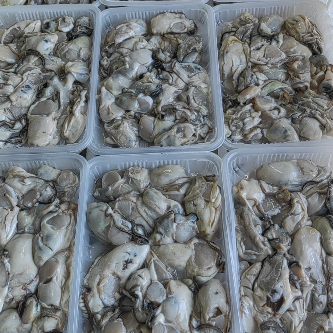 [胶东梁妈妈]鲜冻手剥生蚝肉海蛎子肉做汤涮火锅炸蛎黄