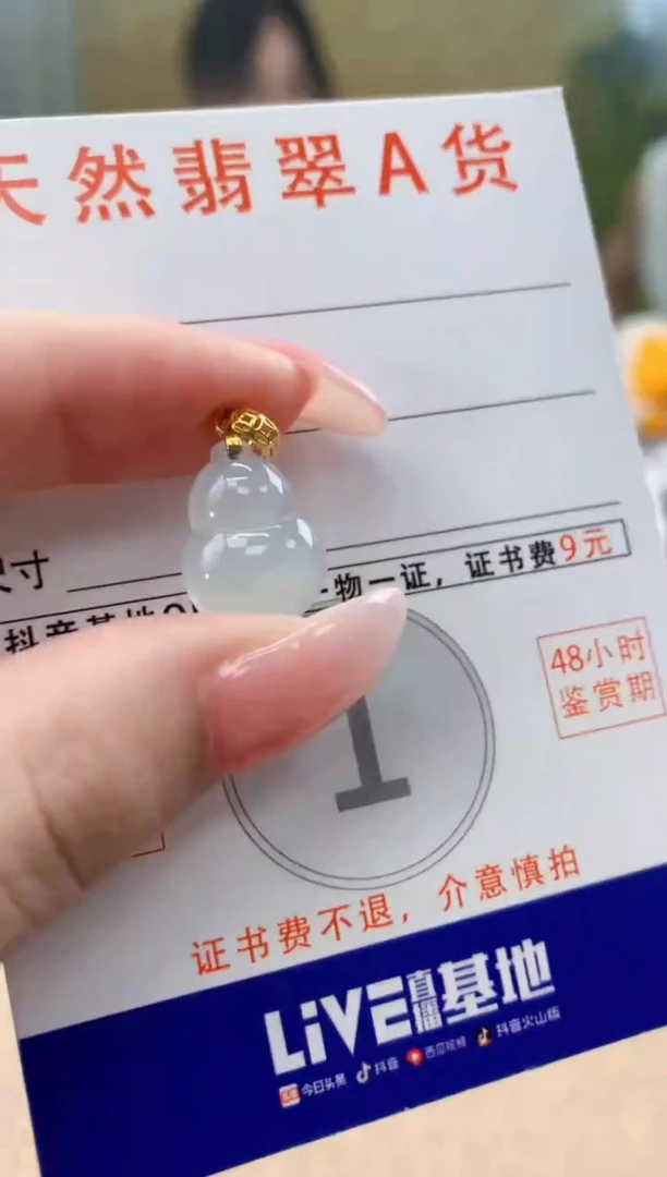 颈饰未镶嵌翡翠天然A货翡翠挂件