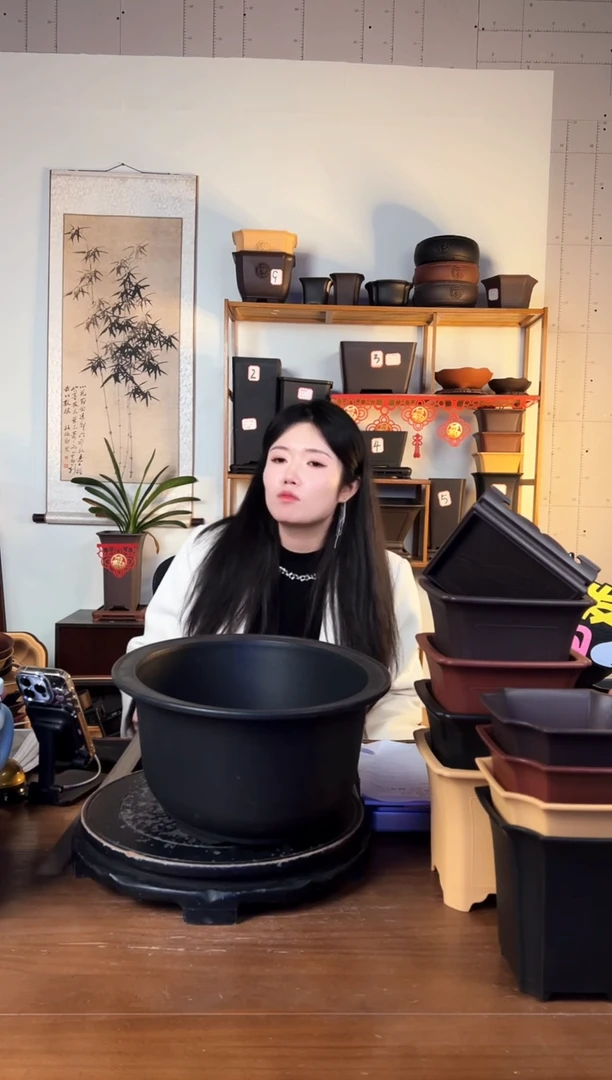 【闪购商品】40腰圆盆2只紫檀色