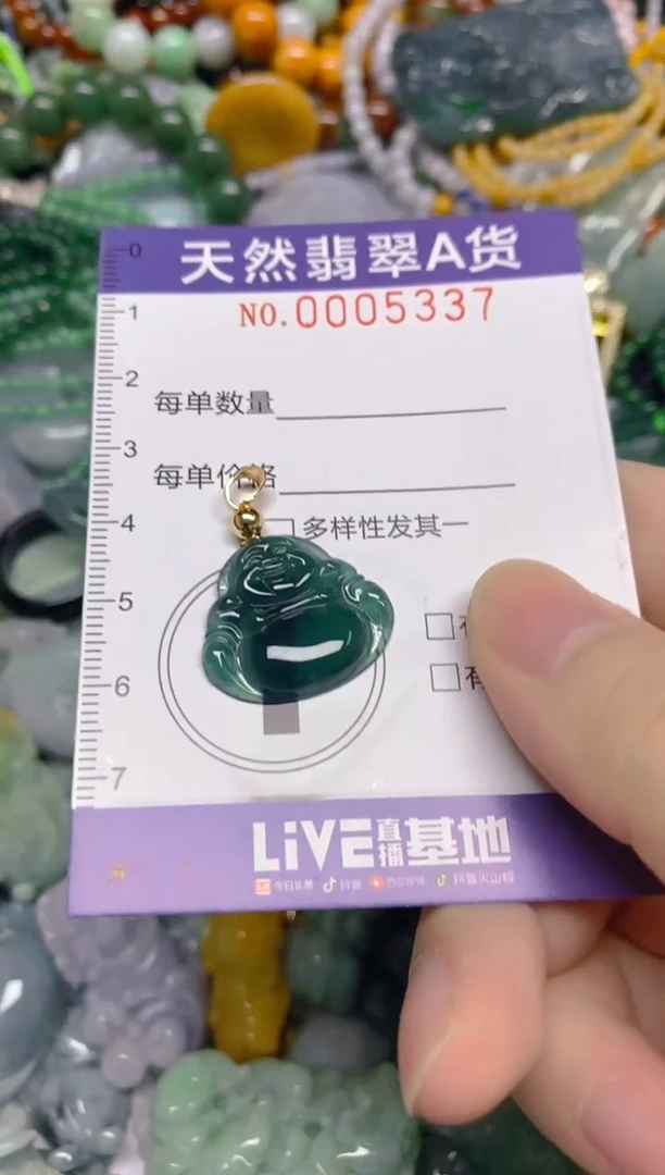 颈饰未镶嵌翡翠0005337