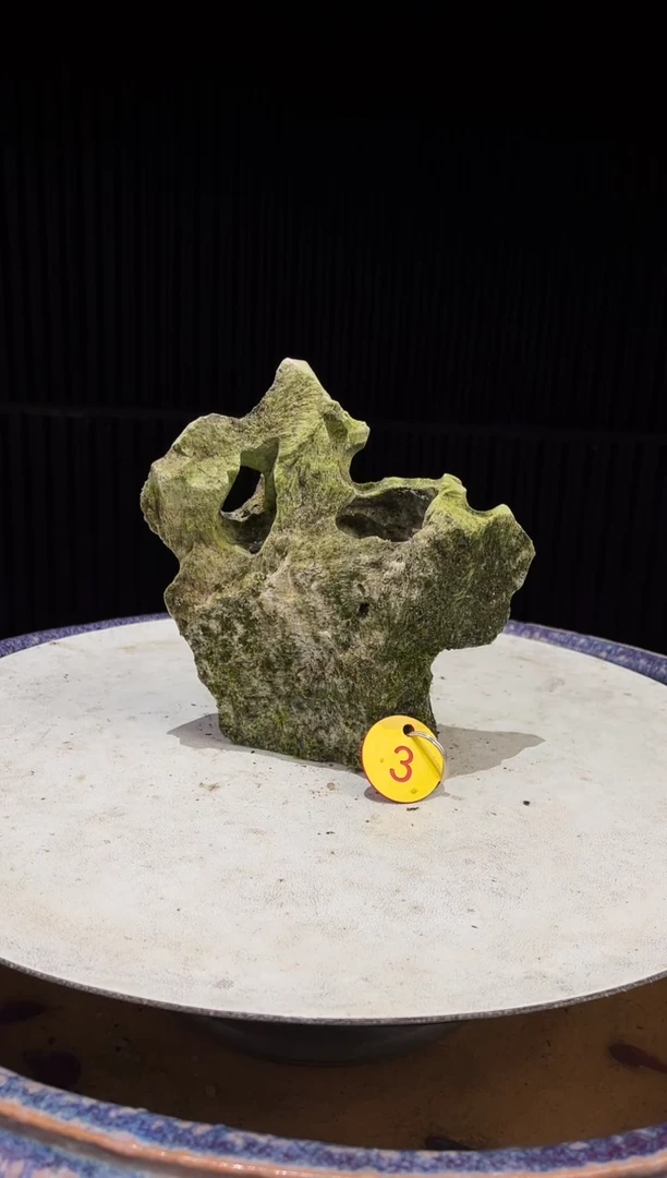 03造型吴定石一物一拍专属