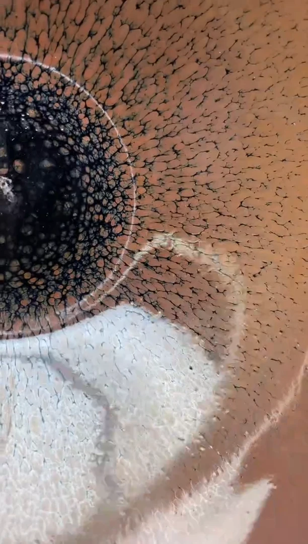 【闪购商品】茶盏458建盏建盏建盏建盏