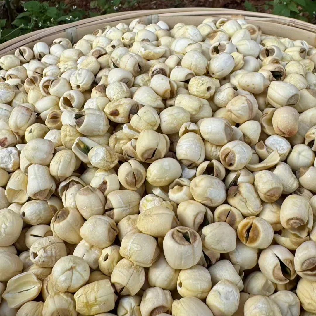 【正宗建宁白莲子】无硫纯手工去芯