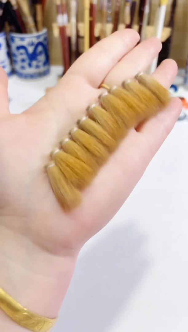 10个纯狼尾  毛头