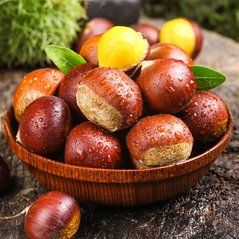 新鲜现摘老品种大板栗粉糯甜源头直发