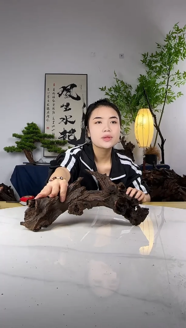 Y****”拍这个定向编号35