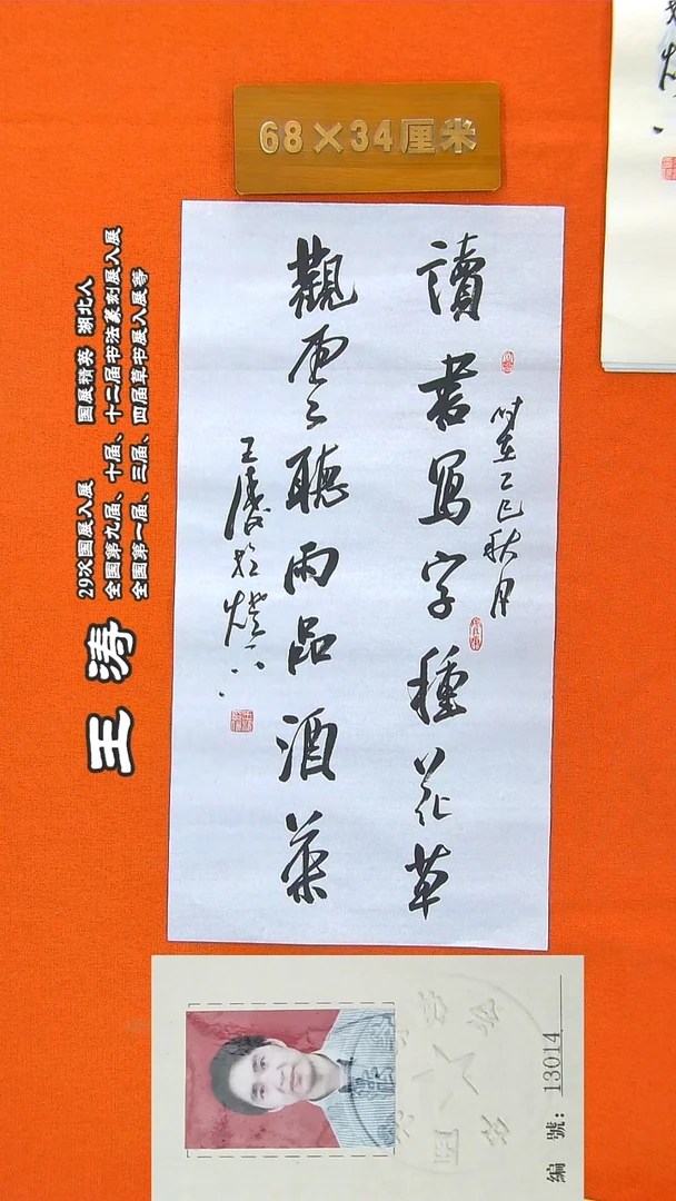 书法67a王涛书法作品