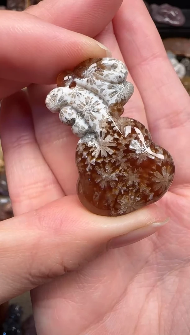 颈饰未镶嵌硅化珊瑚（珊瑚玉）777