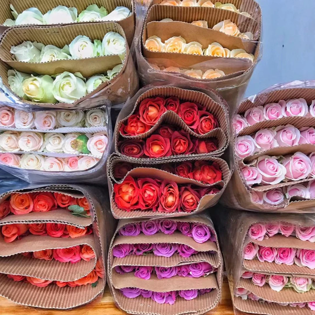 玫瑰组合专拍链接 支持许愿