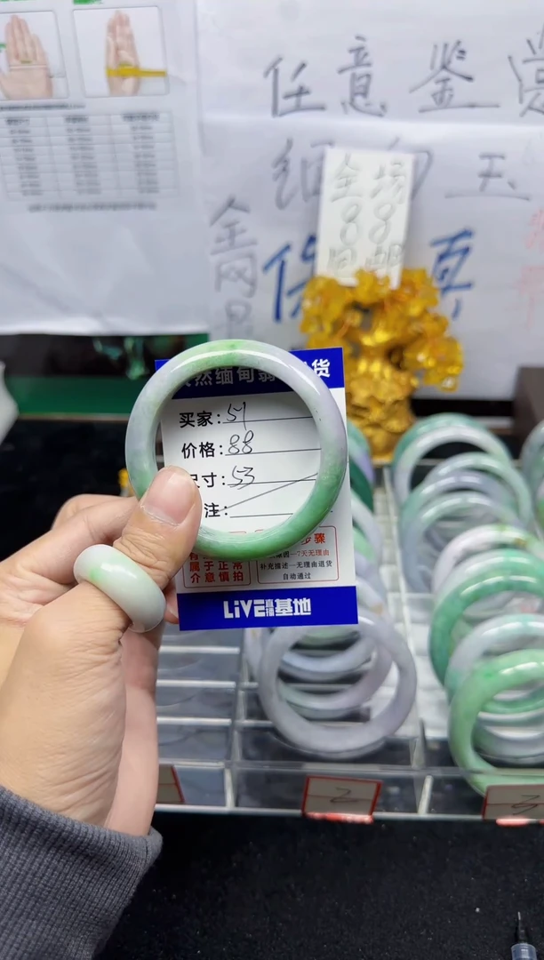 未镶嵌手镯翡翠51