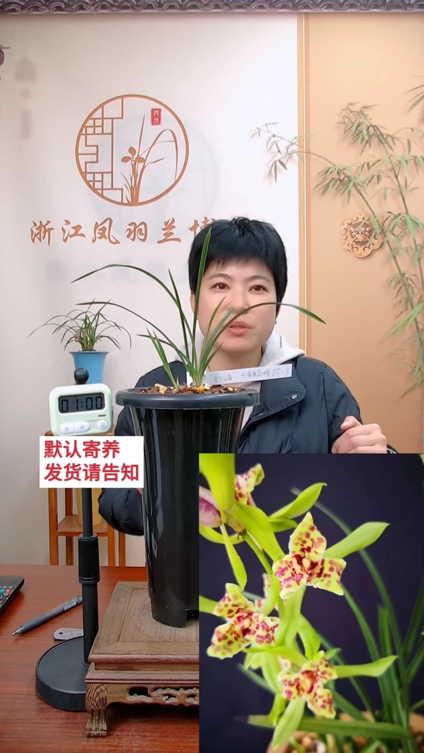 【闪购商品】清逸蕊蝶，爱，兰，之，者