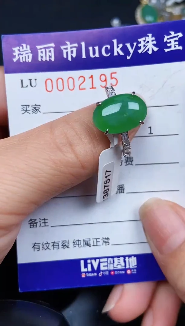 翡翠银S925镶嵌颈饰2195
