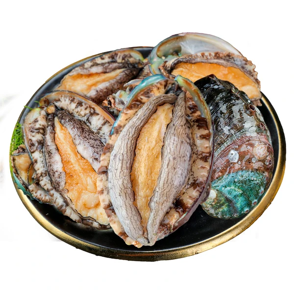 鲜活特大鲍鱼 4粒(单粒:60-80g)