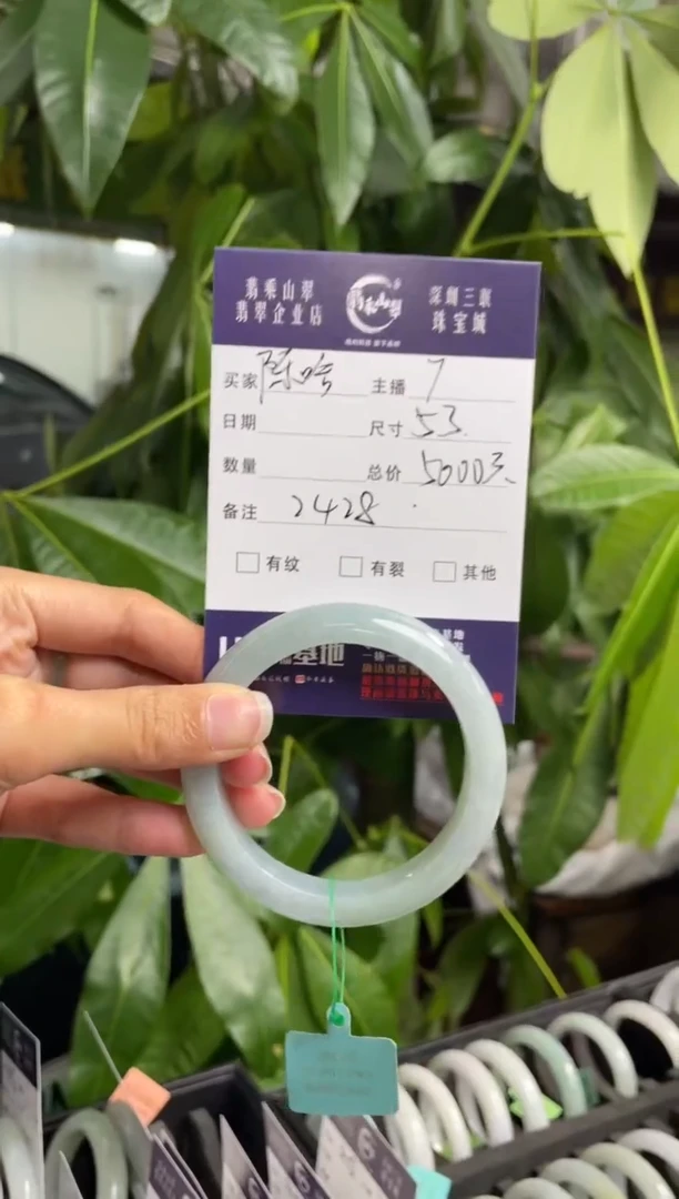 未镶嵌手镯翡翠Q 53正圈 2428