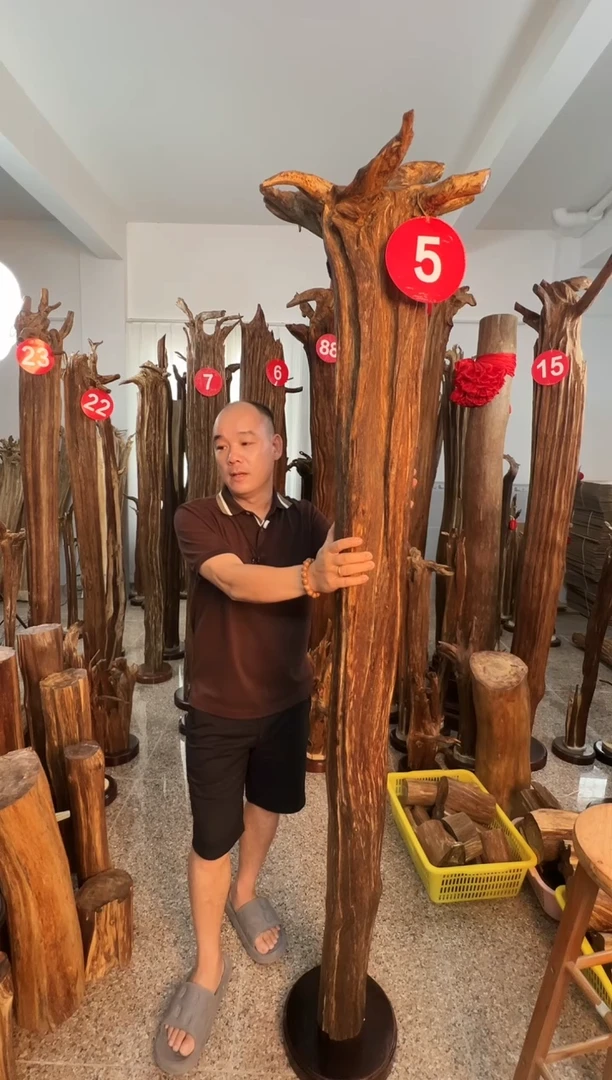 摆件沉香光**烂沉香原料6