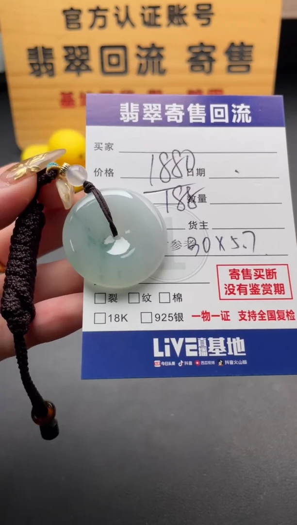 颈饰未镶嵌翡翠10147867