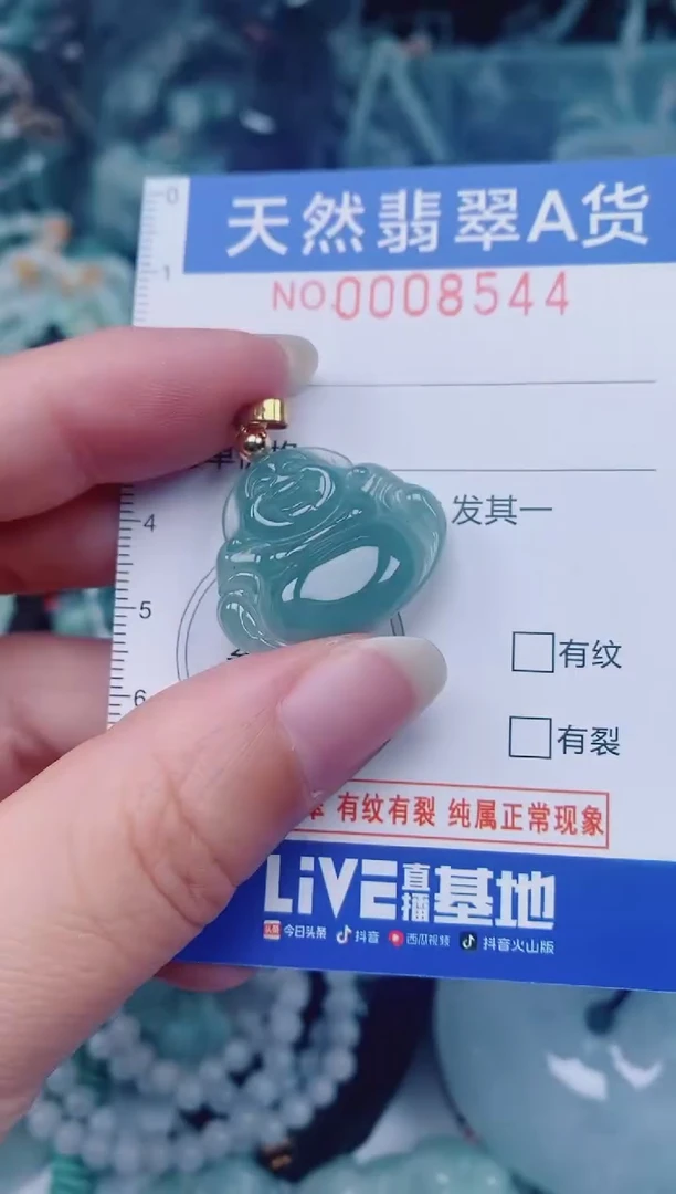 颈饰未镶嵌翡翠00008544