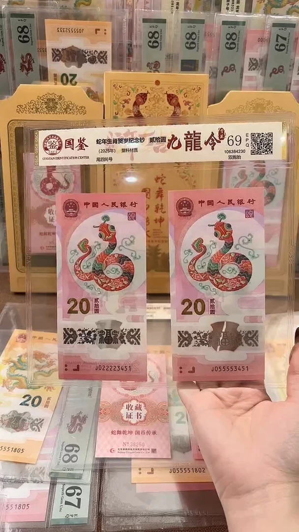 塑料九龙令头双胞胎02222头和05555尾号3451