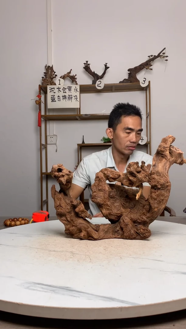 幸****隅鱼缸造景沉木摆件