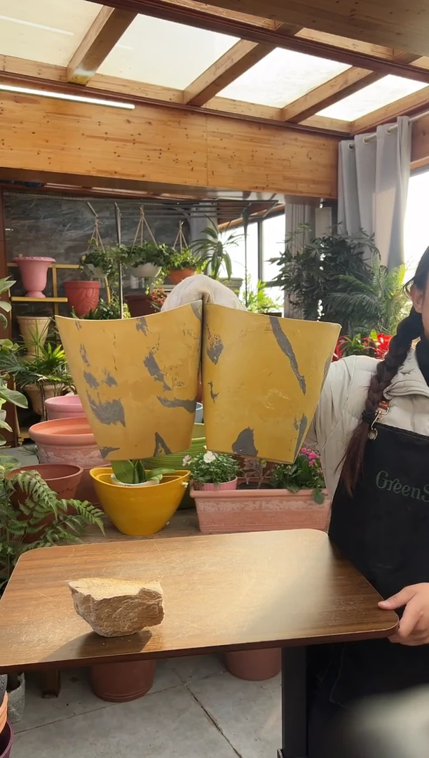 20*14.5*20/【2只装】大自然印象系列手工元宝高盆/16YB20