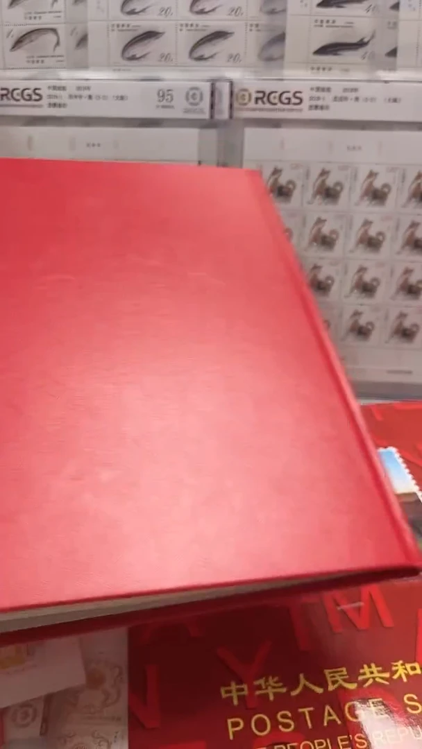 【闪购商品】【闪购商品】2004年 年册 南方册