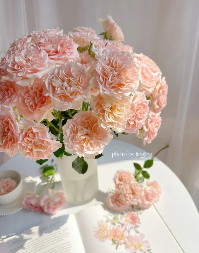 【玫瑰】甜蜜沙拉 任三单顺丰空运包邮鲜切花家居花店插花