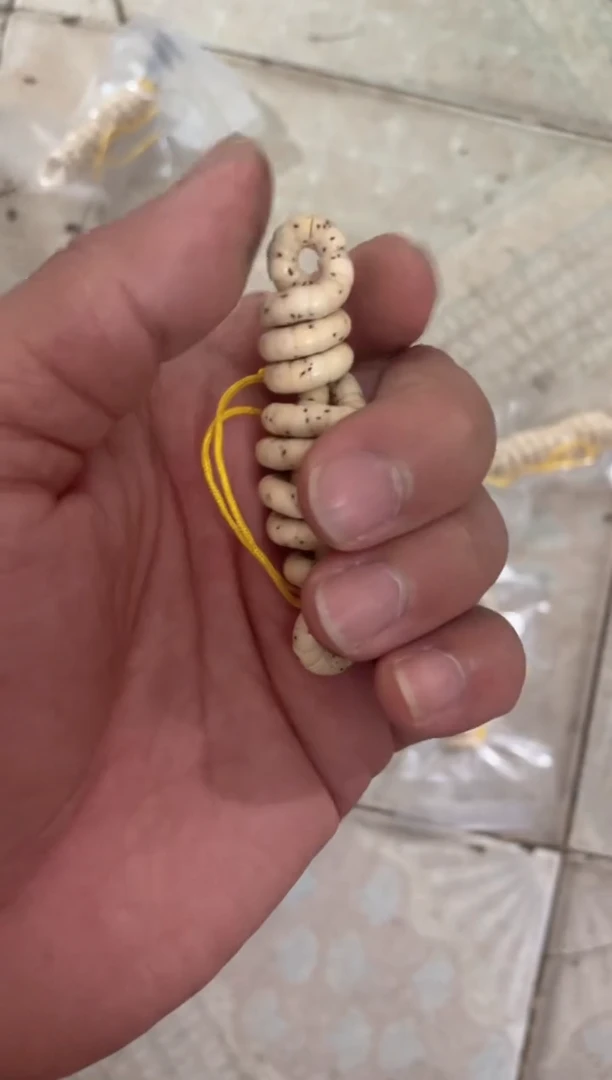 星月菩提手串海南星月菩提《Y69》5X4大肠