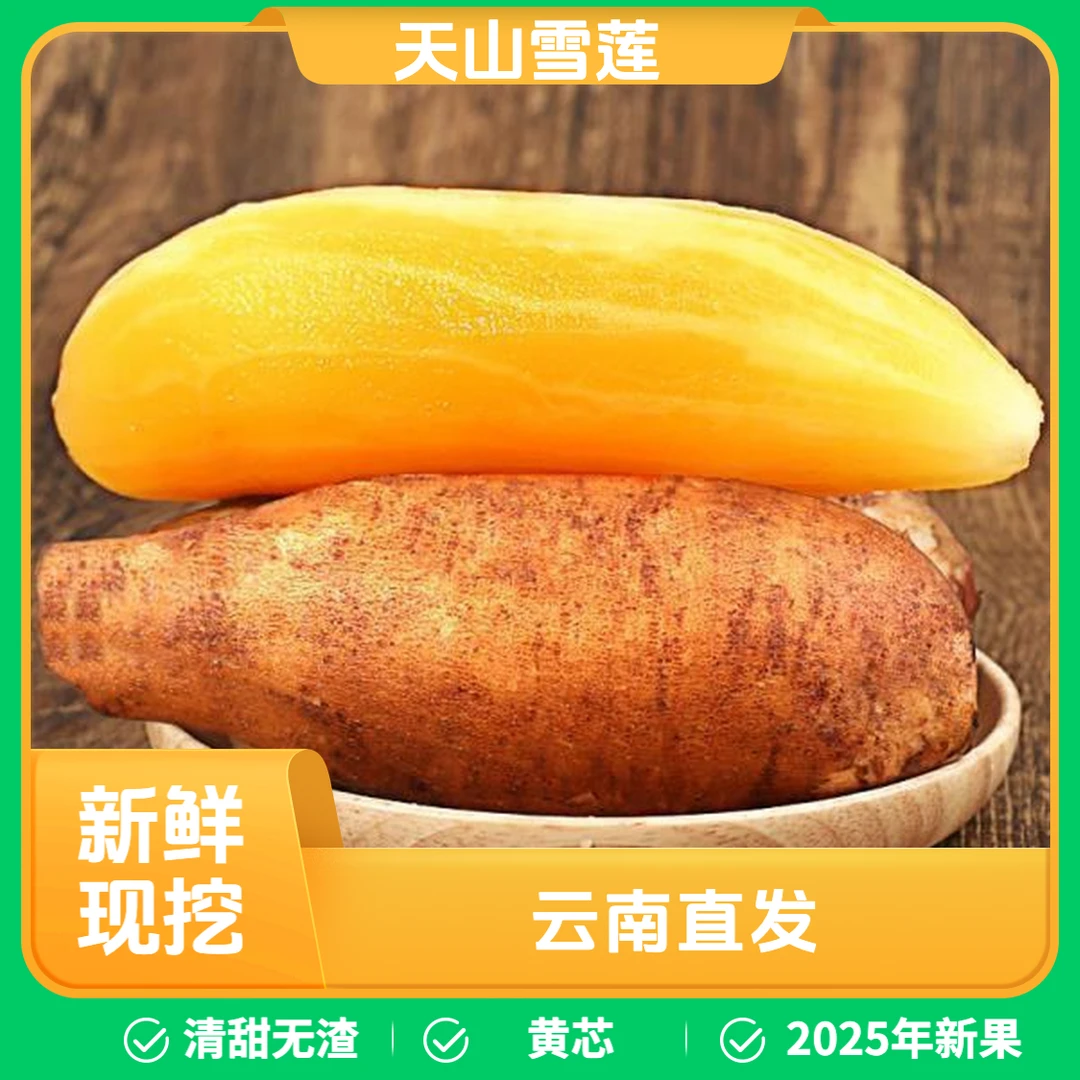 新（现挖现发）云南天山黄心雪莲果清甜多汁应季水果非红薯山药地瓜