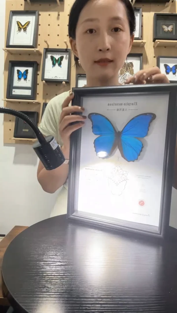 大蓝闪蝶蝴蝶装饰画