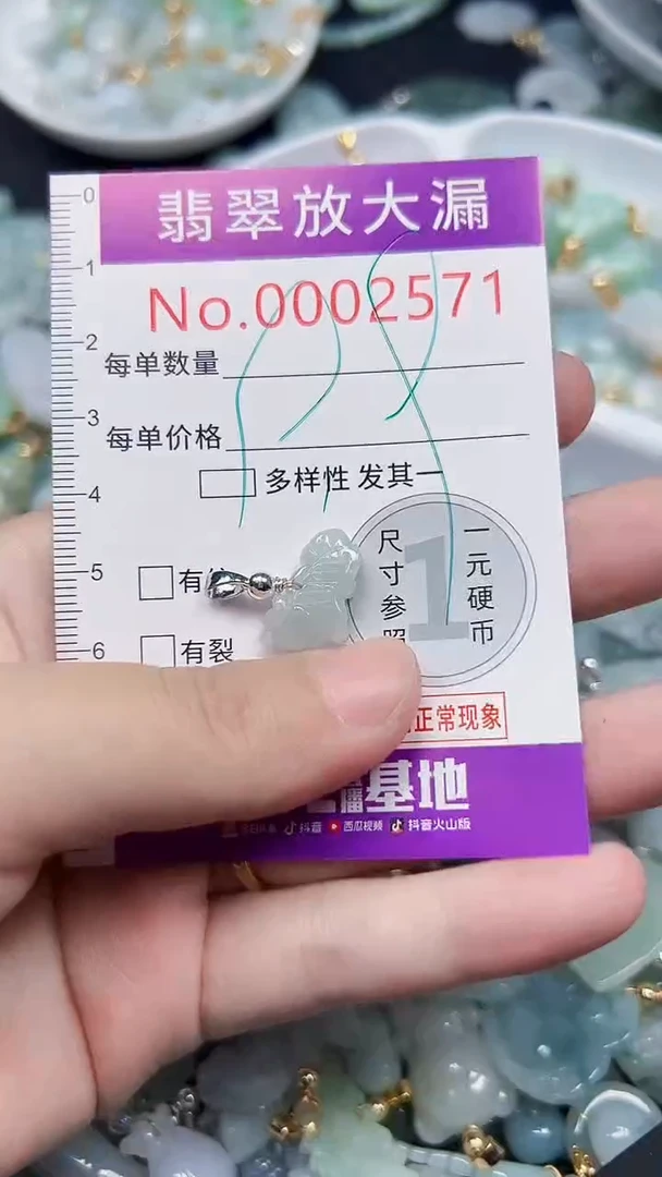 颈饰未镶嵌翡翠2571