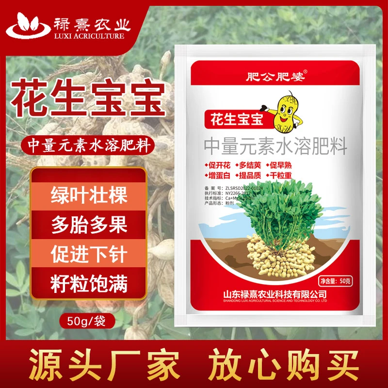 【肥公肥婆】花生宝宝粒粒饱满绿叶壮棵颗粒饱满提高产量多肽膨大肥