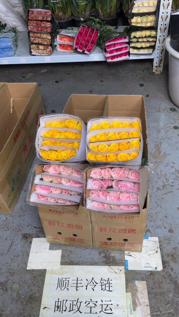 粉荔枝20枝+金枝20枝