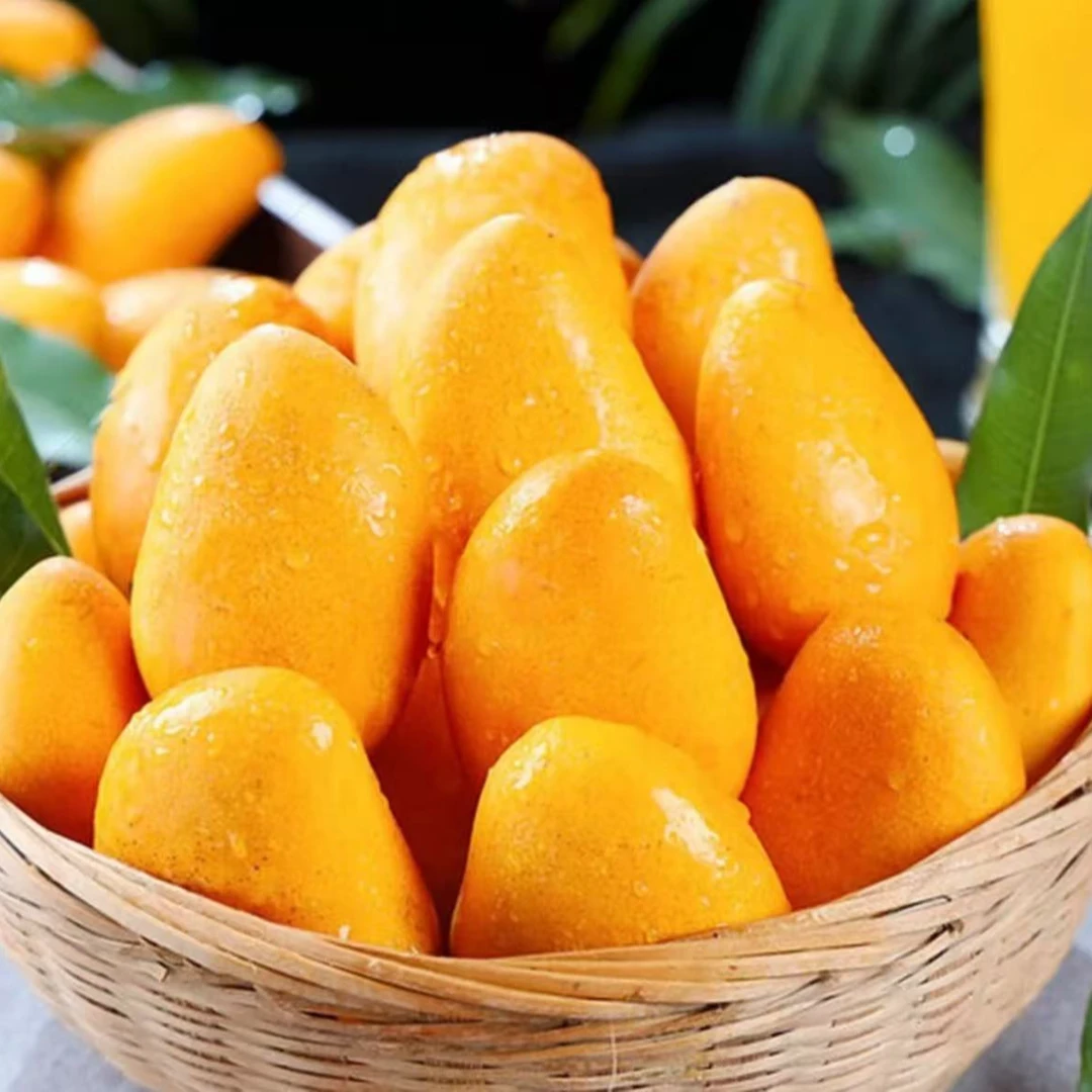 【变黄放软食用】L云南小台农芒果新鲜应季热带水果产地现摘整箱包