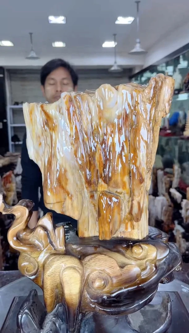 【闪购商品】硅化玉珠宝奇石未镶嵌缅甸天然树化玉