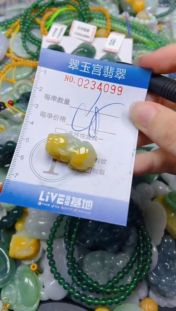 颈饰未镶嵌翡翠闪购C0234099