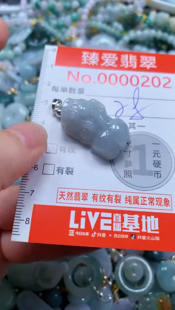 翡翠未镶嵌吊坠(不含链)0202