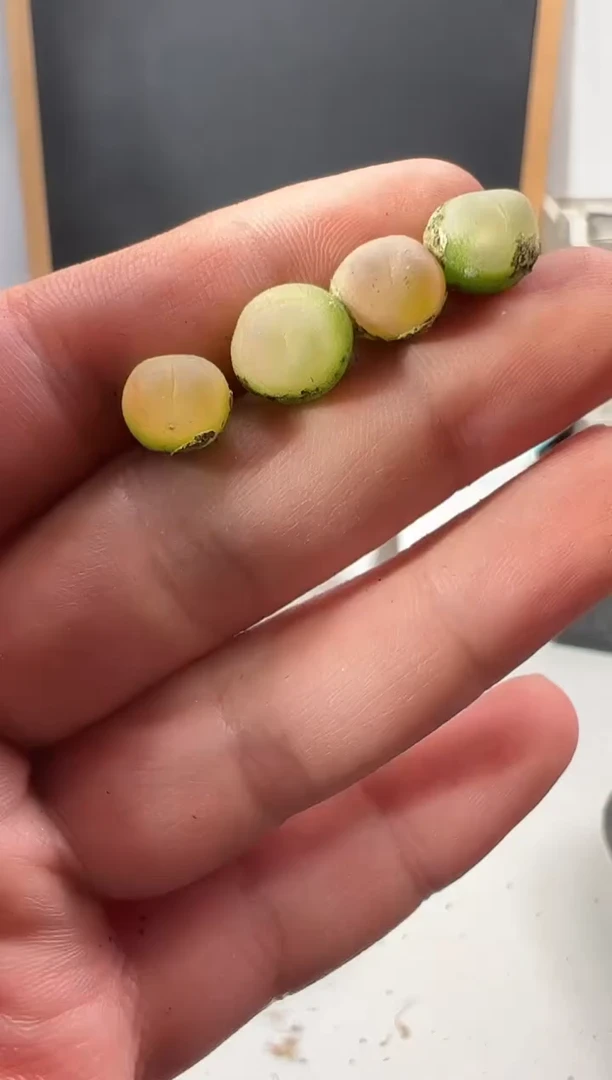 【闪购商品】++++410