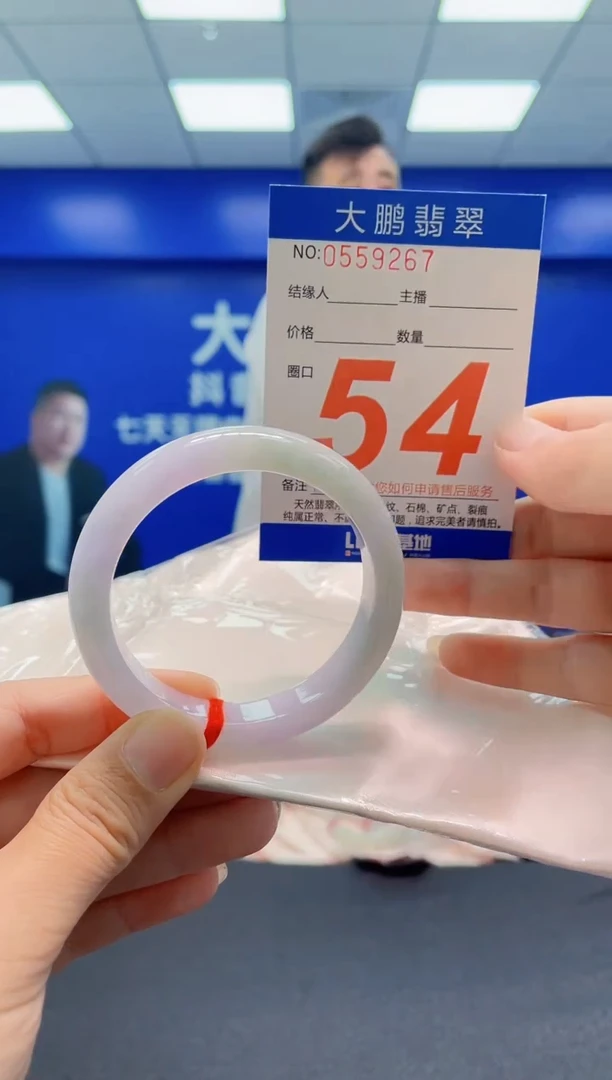 未镶嵌手镯翡翠AAAAAAAAA