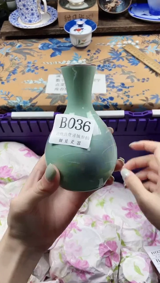 瓷片睡***鱼                B036