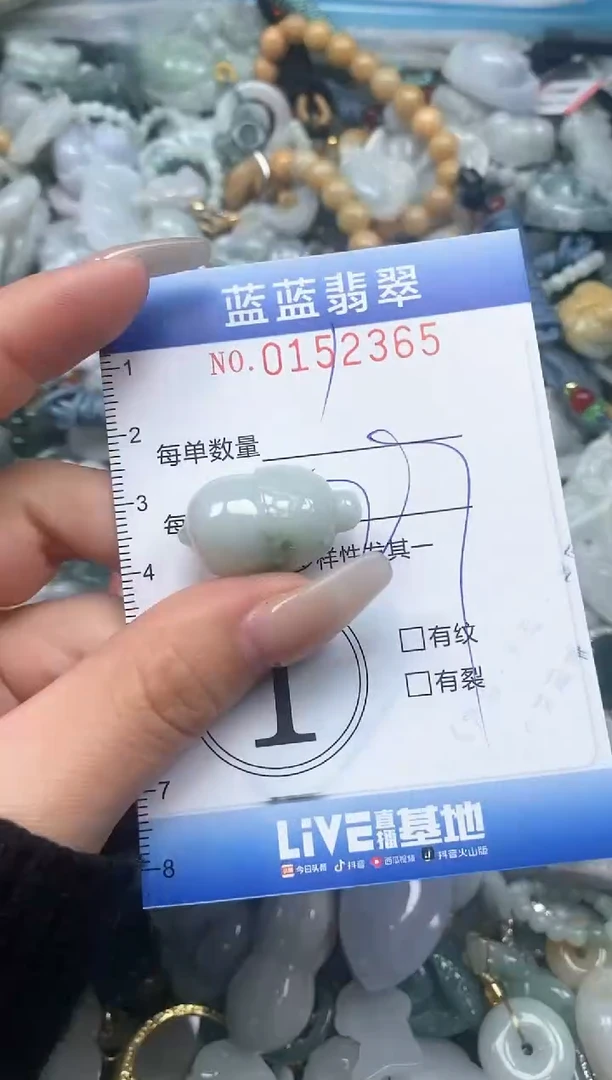 【闪购商品】翡翠颈饰未镶嵌闪购0152365