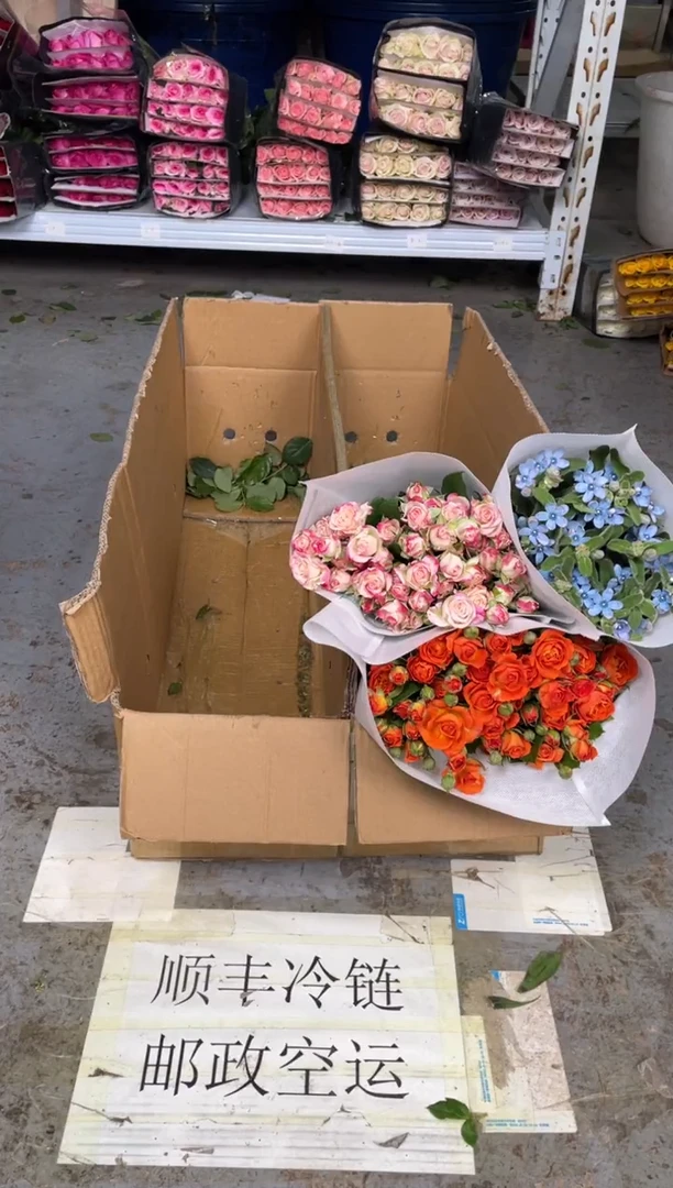 折射10枝+橙色芭比10枝+蓝星花