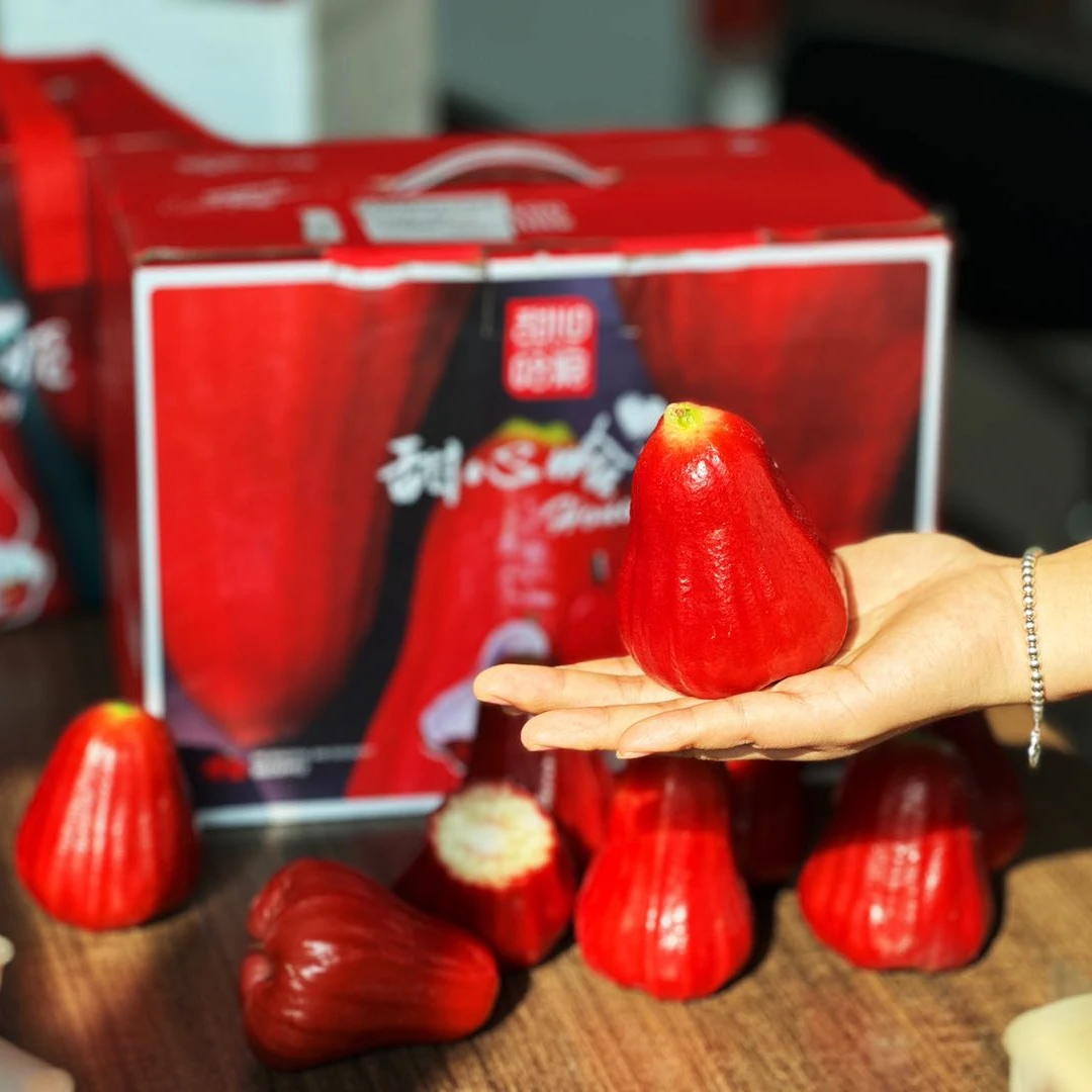 【伊琳专属】海南黑金刚莲雾大果新鲜水果现摘礼盒热带水果清甜多汁