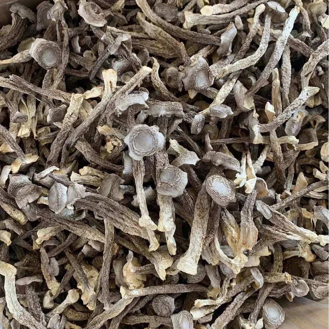 新疆直发鹿茸菇干货新货无硫脆爽可煲汤炒肉的农家特产