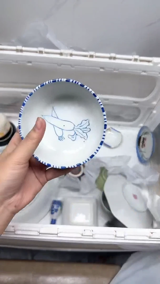 【闪购商品】679回流瓷器默认微瑕，18.8包邮