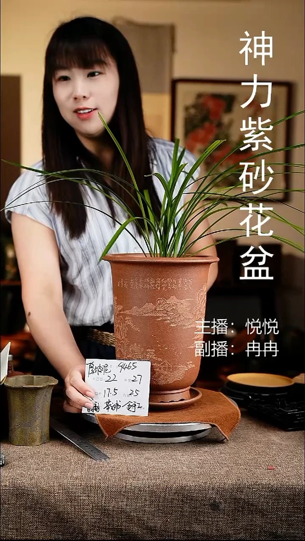 紫砂花盆9465+z花卉工艺