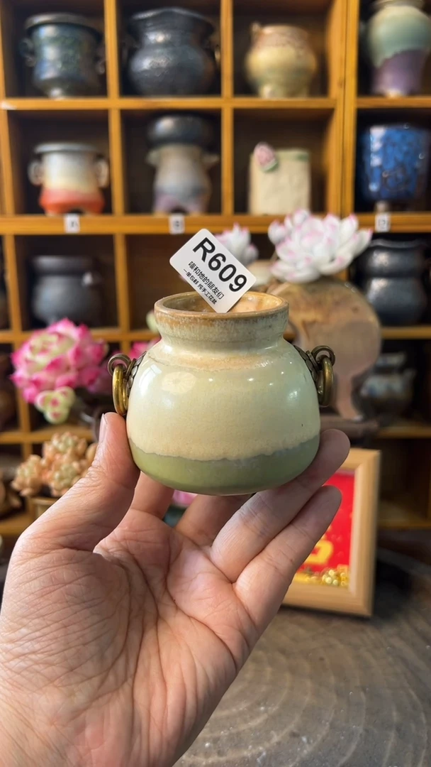 488 内口4【多肉花盆多肉盆】