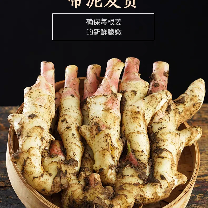 （顺丰包邮）山东红芽嫩姜新姜嫩姜仔姜姜芽嫩姜当天现挖现发仔姜