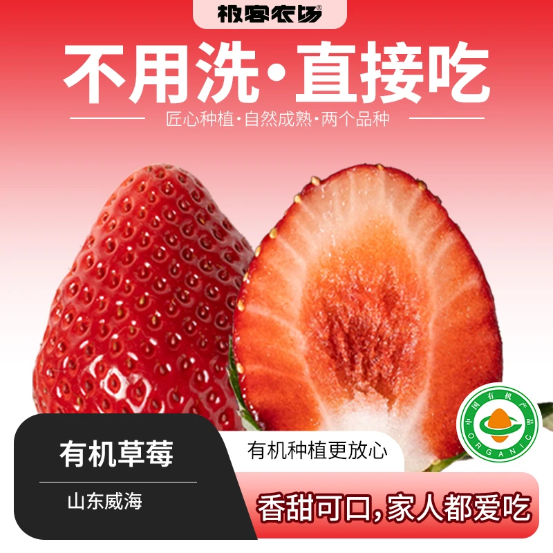 不用洗直接吃有机草莓红草莓香气浓郁黑草莓甘甜爽口黑珍珠草莓