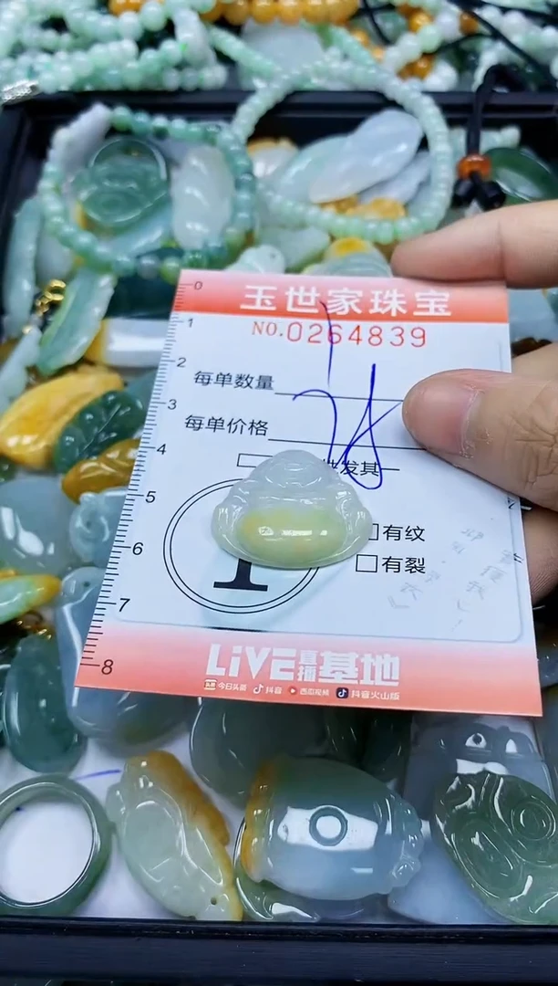 翡翠未镶嵌颈饰闪购0264839