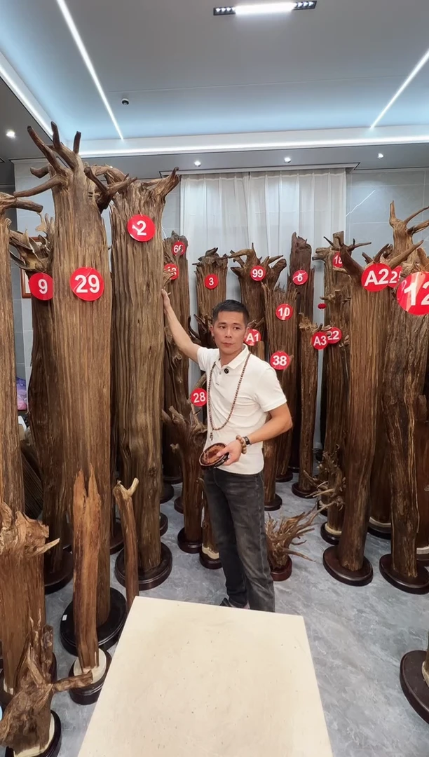 沉香摆件高*荣沉香原料